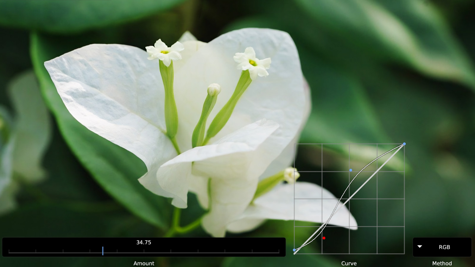 CameraBag Screenshot